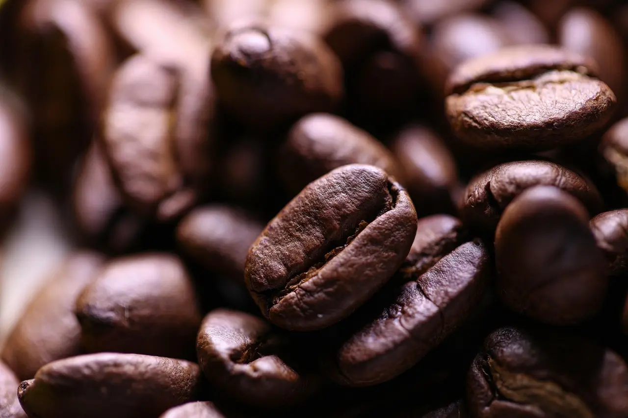 Hvilken kaffemaskine er en god gave til hende?