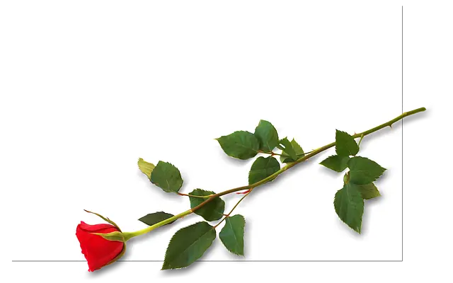 6 små hverdagsgaver du kan give din kæreste, uden anden anledning end at du elsker hende