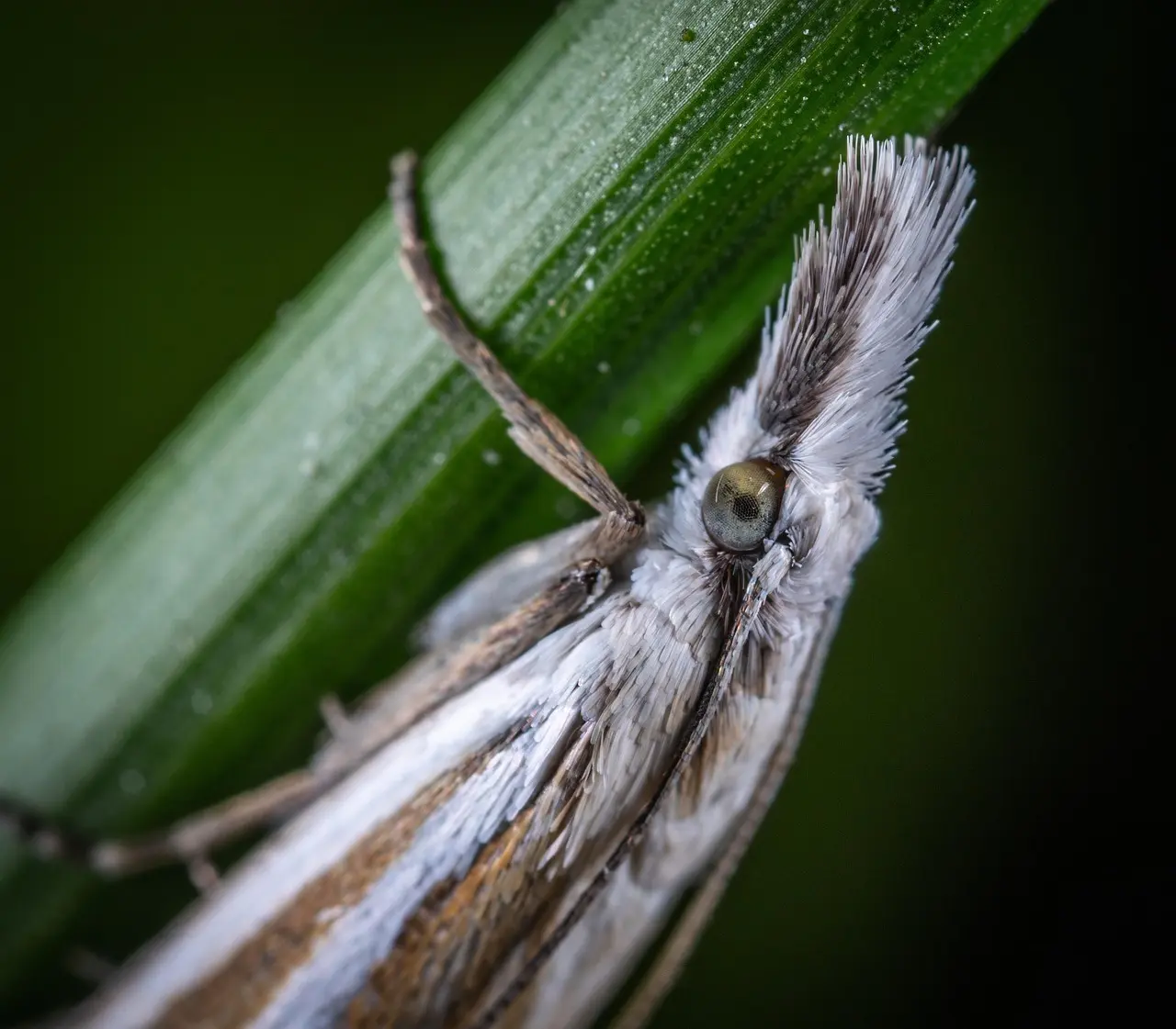 Er en glamping-oplevelse i Mols Bjerge en god gave til hende?