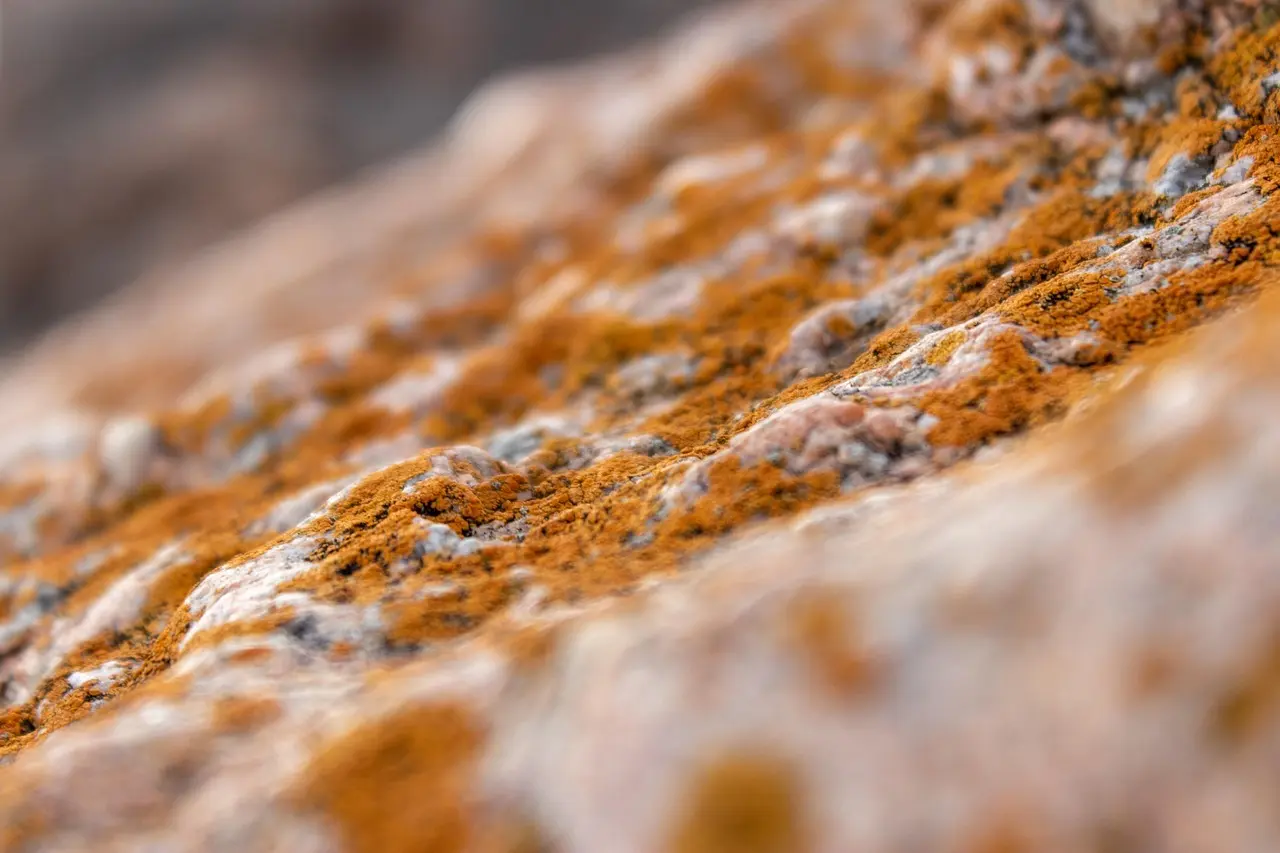 Hvad er en god gua sha-gave til begyndere?