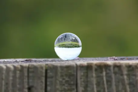 Kugledyne som gave: det skal du vide før du køber