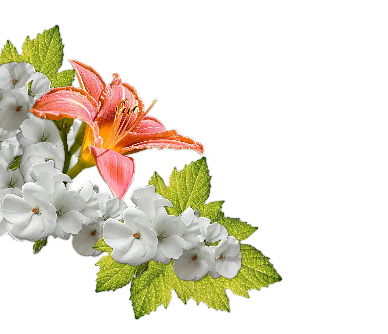 Sådan finder du bæredygtige gaver til hende