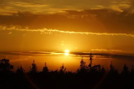 Sådan giver du et ølbrygningskursus i Odense i gave